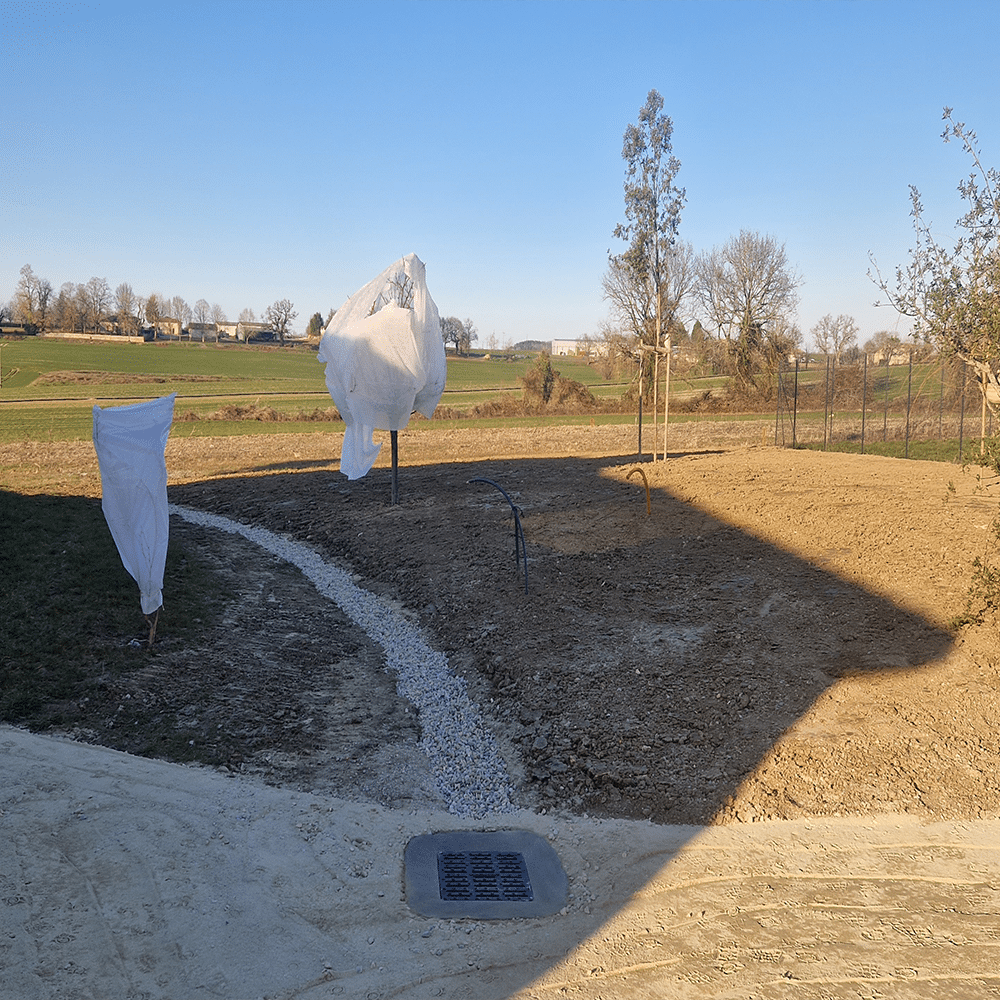 Jardin en cours d'aménagement. Drainage en gravier menant à une grille d'évacuation. Deux jeunes arbres protégés sous un ciel bleu dégagé.